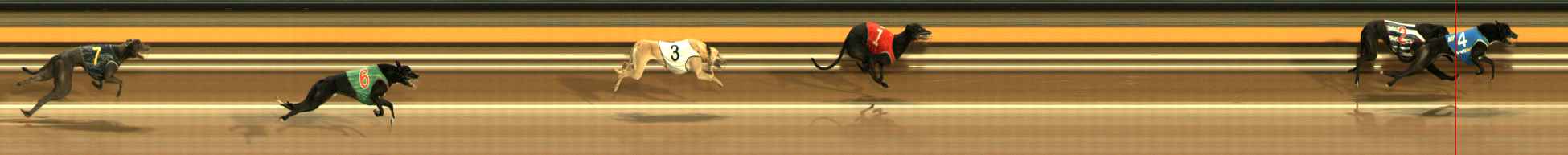 Race result finish photo
