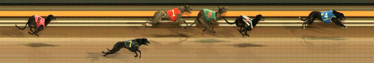Photo finish for Ballarat Race 6