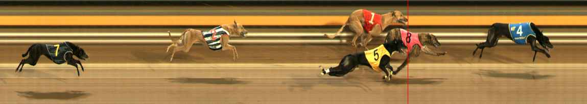 Race result finish photo