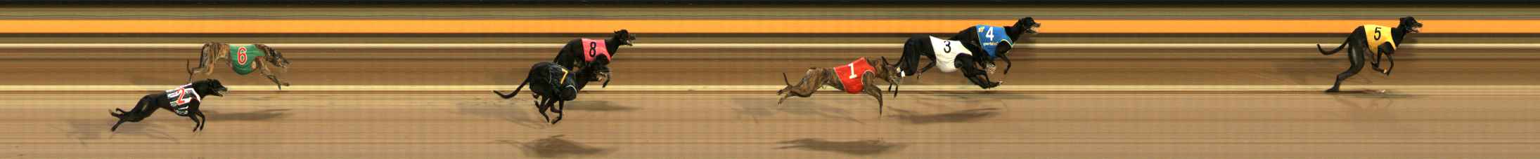 Photo finish for Ballarat Race 2