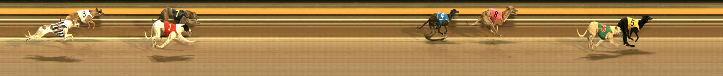 Photo finish for Ballarat Race 4