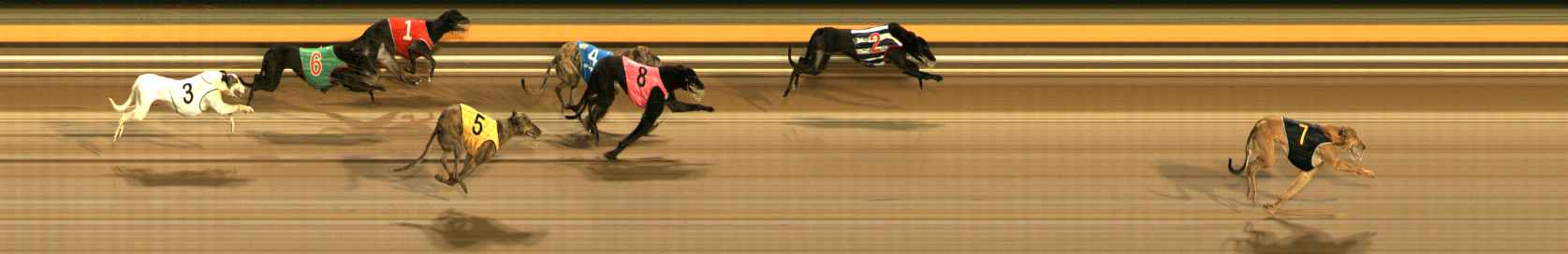 Photo finish for Ballarat Race 5