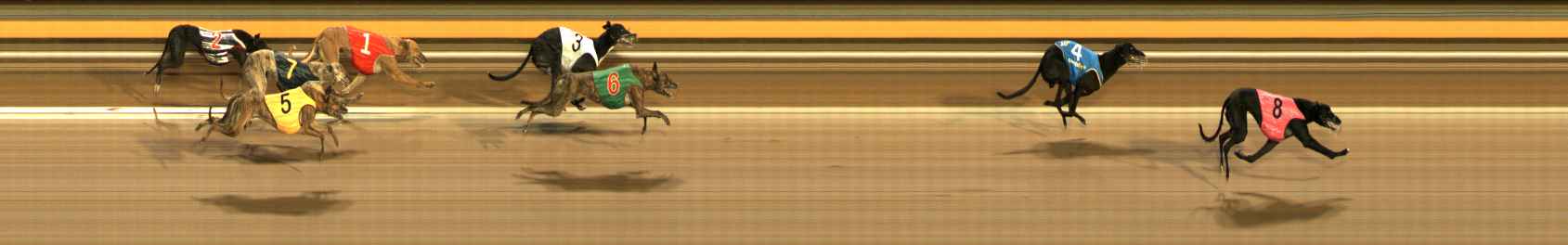 Photo finish for Ballarat Race 7