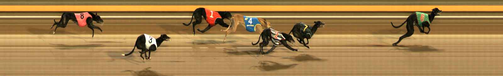 Photo finish for Ballarat Race 8