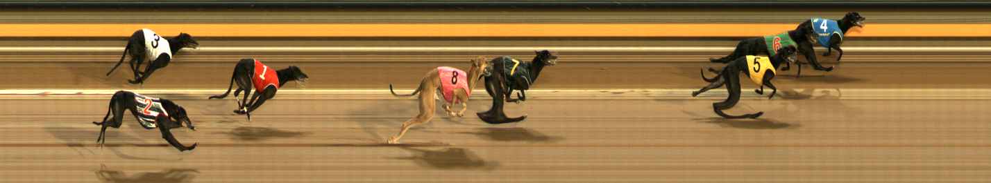 Photo finish for Ballarat Race 11
