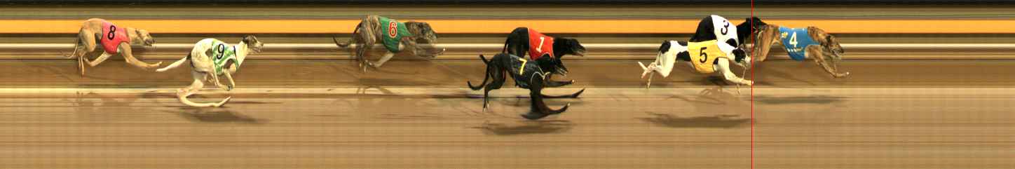 Photo finish for Ballarat Race 12