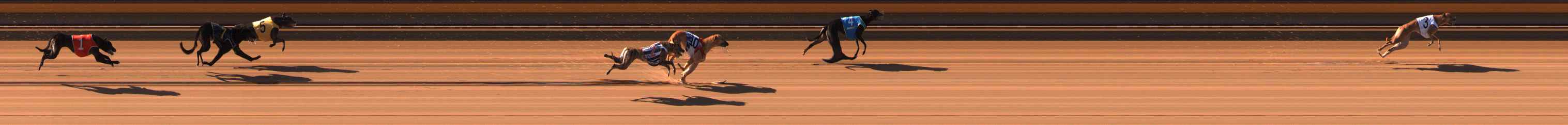 Race result finish photo