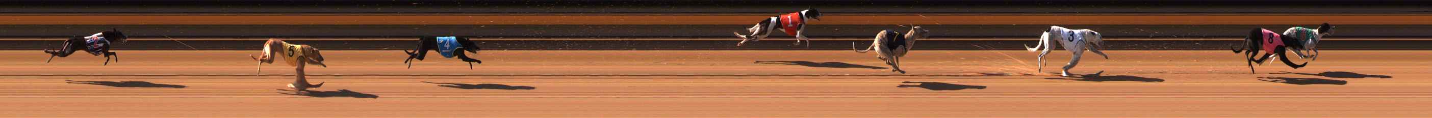 Race result finish photo