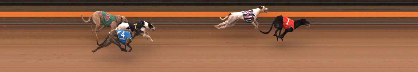 Photo finish for Ballarat Race 8