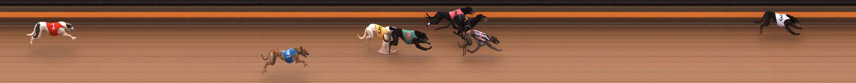 Photo finish for Ballarat Race 9