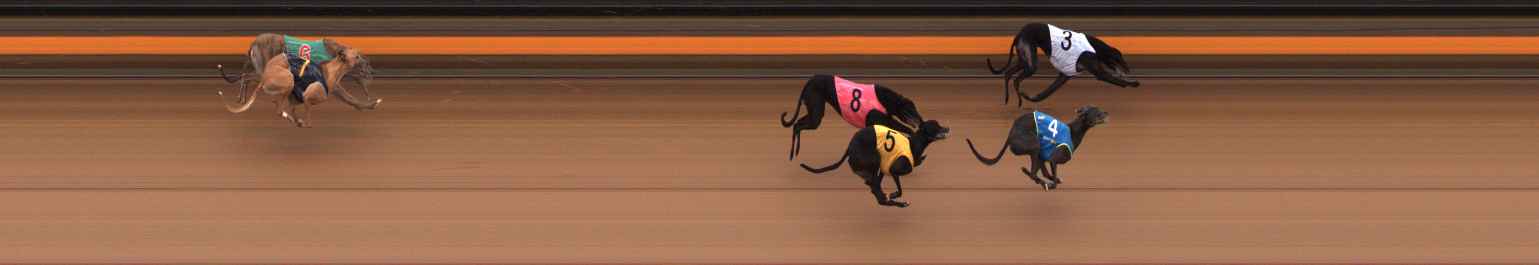Photo finish for Ballarat Race 10