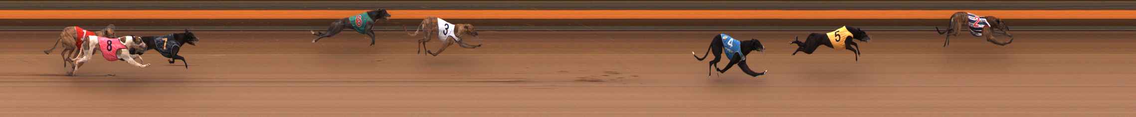 Photo finish for Ballarat Race 11