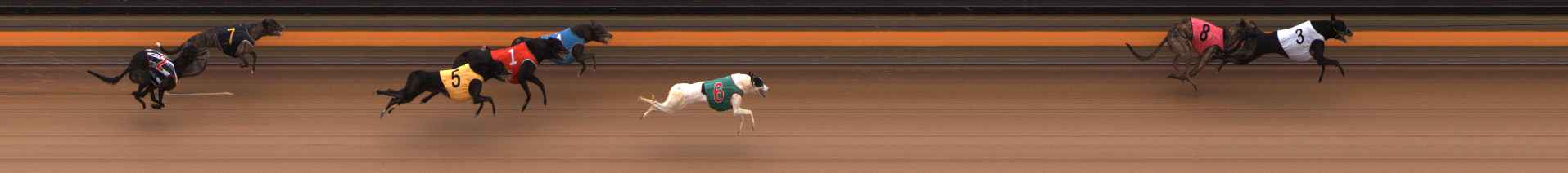 Photo finish for Ballarat Race 12