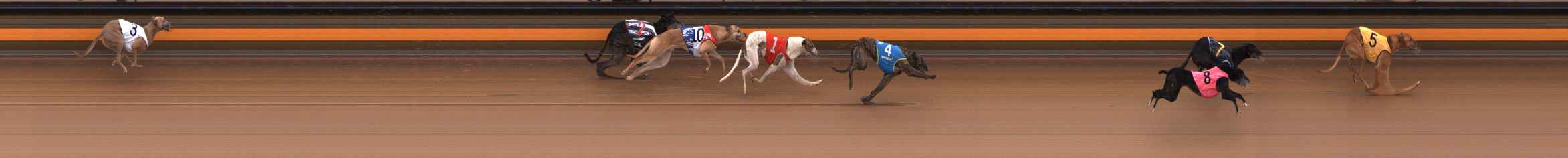 Photo finish for Ballarat Race 14