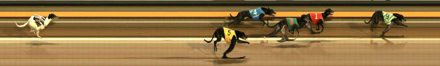 Photo finish for Ballarat Race 2