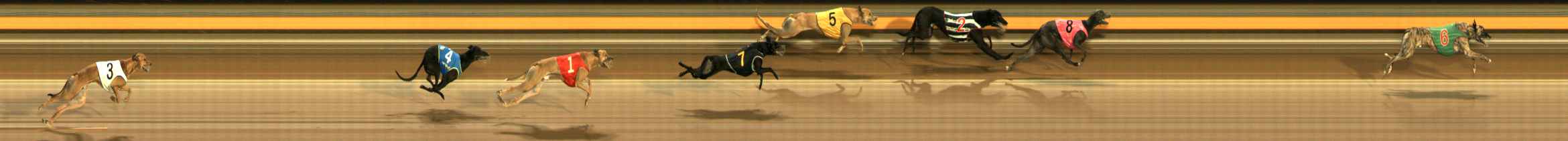 Photo finish for Ballarat Race 3