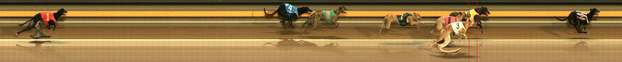 Photo finish for Ballarat Race 5
