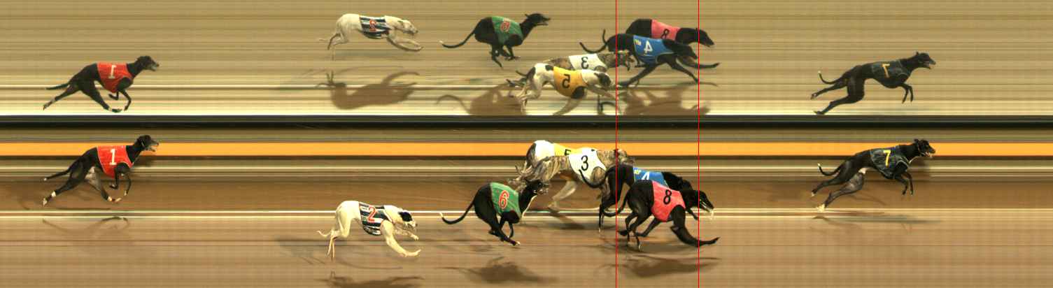 Photo finish for Ballarat Race 6