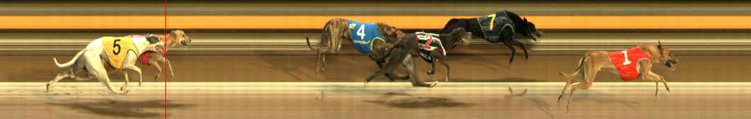 Photo finish for Ballarat Race 10