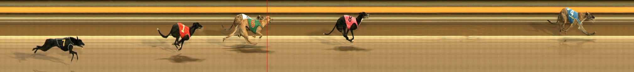 Photo finish for Ballarat Race 11