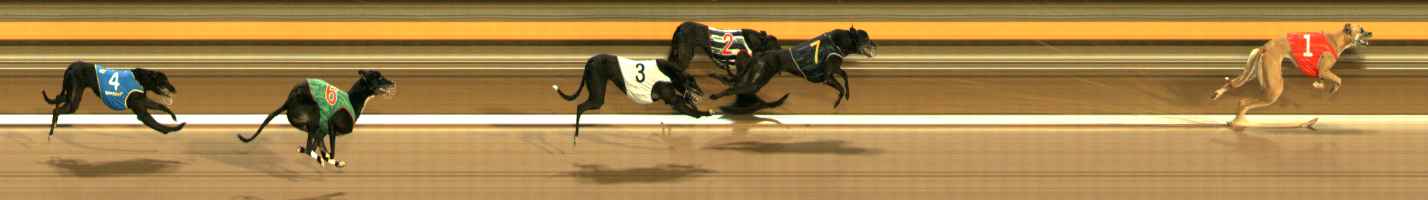Photo finish for Ballarat Race 14