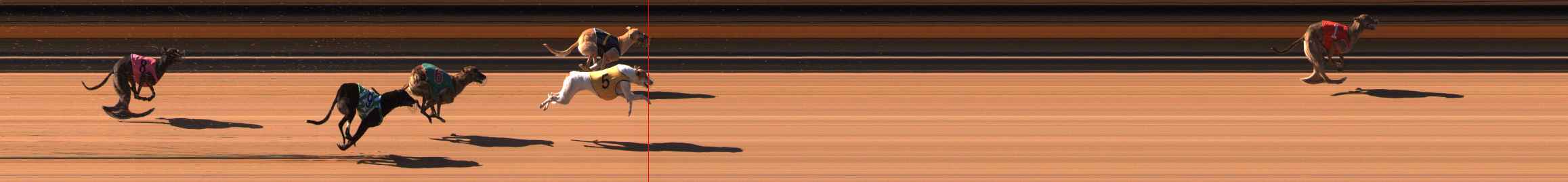 Photo finish for Ballarat Race 2