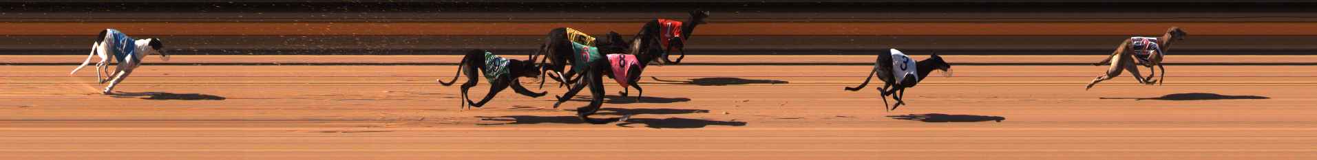 Photo finish for Ballarat Race 4