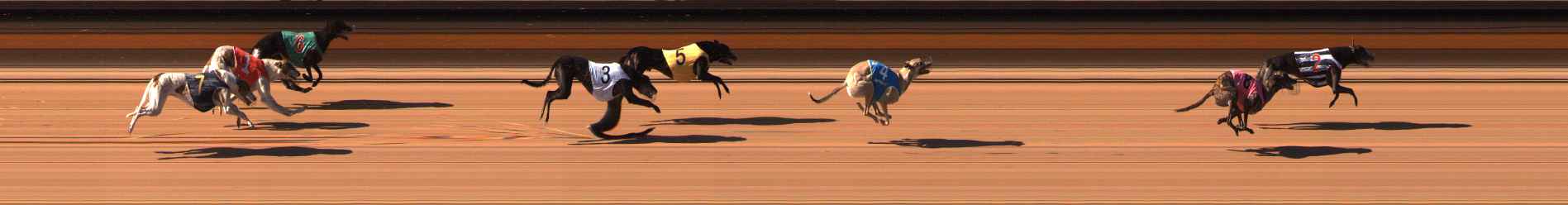 Photo finish for Ballarat Race 5