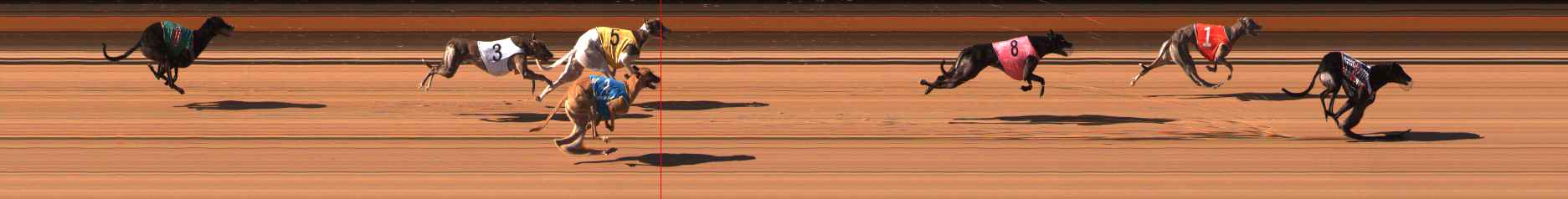 Photo finish for Ballarat Race 6