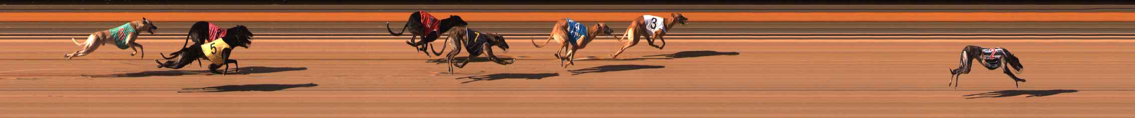 Photo finish for Ballarat Race 8