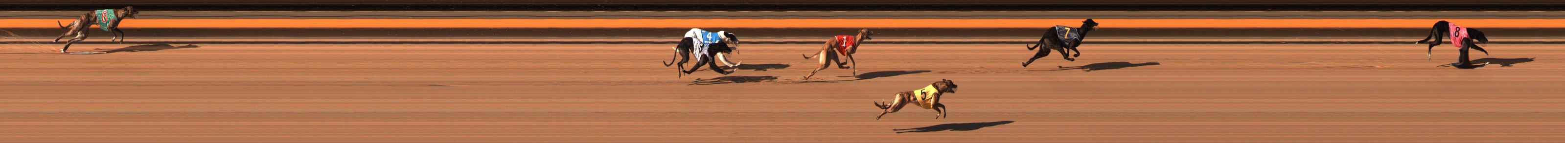 Photo finish for Ballarat Race 9