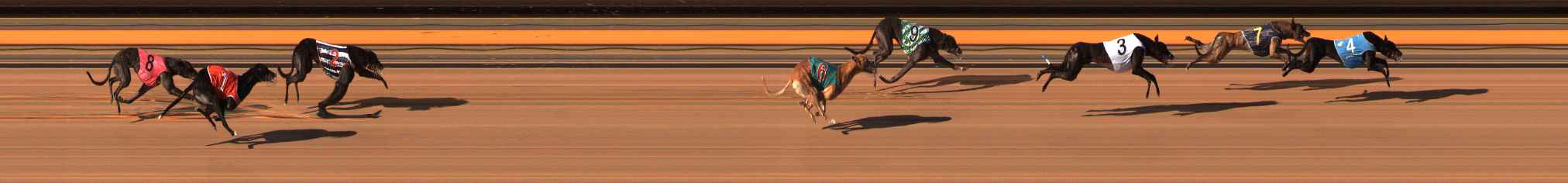 Photo finish for Ballarat Race 10