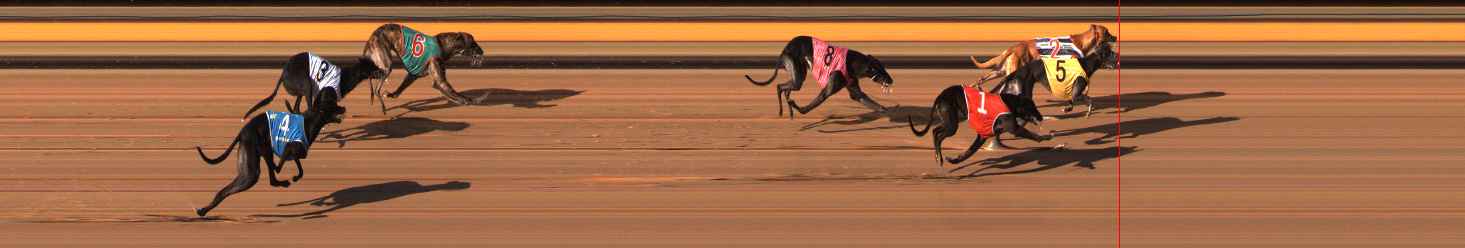 Photo finish for Ballarat Race 11