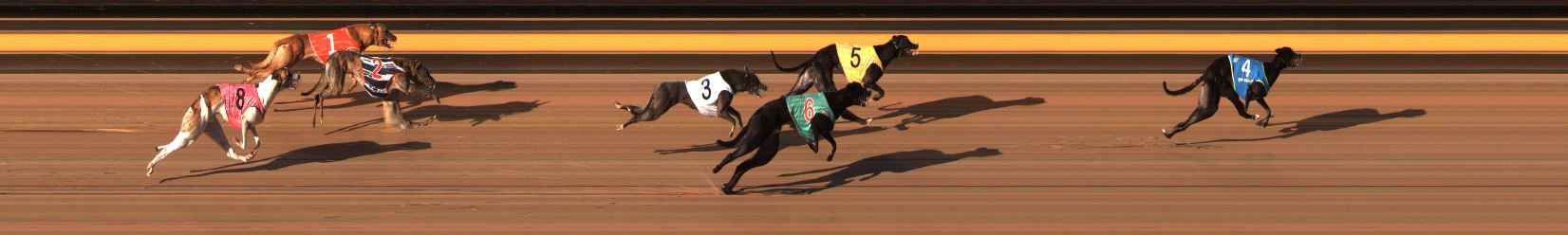 Photo finish for Ballarat Race 12