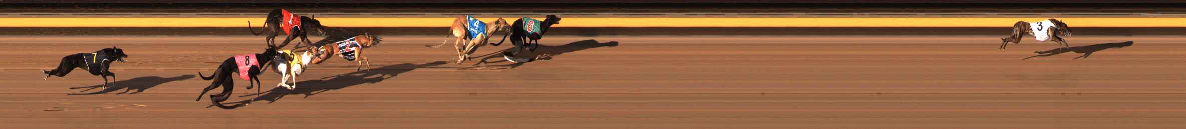 Photo finish for Ballarat Race 13