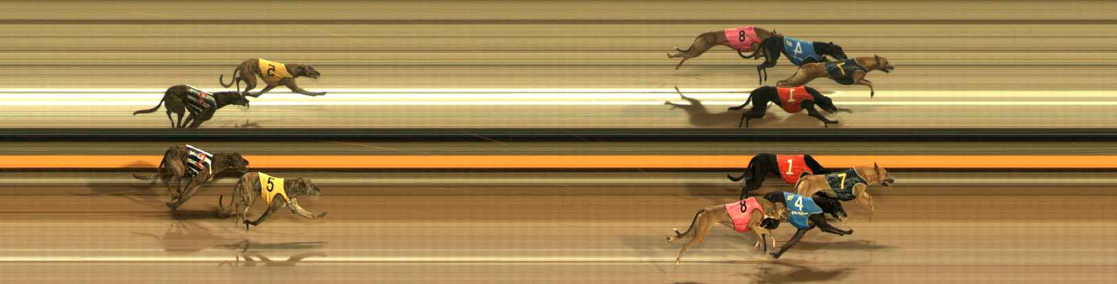 Photo finish for Ballarat Race 7