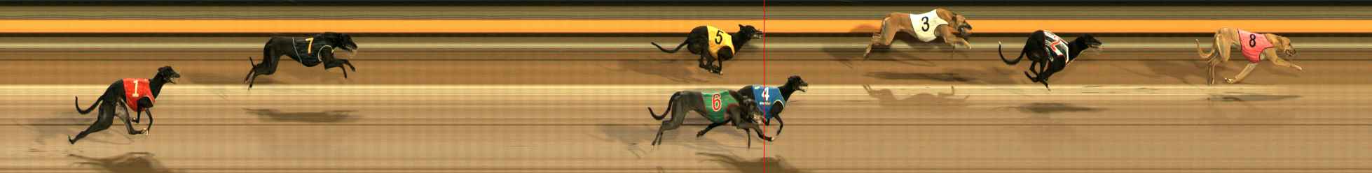 Photo finish for Ballarat Race 10