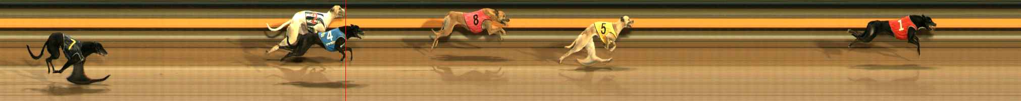 Photo finish for Ballarat Race 12