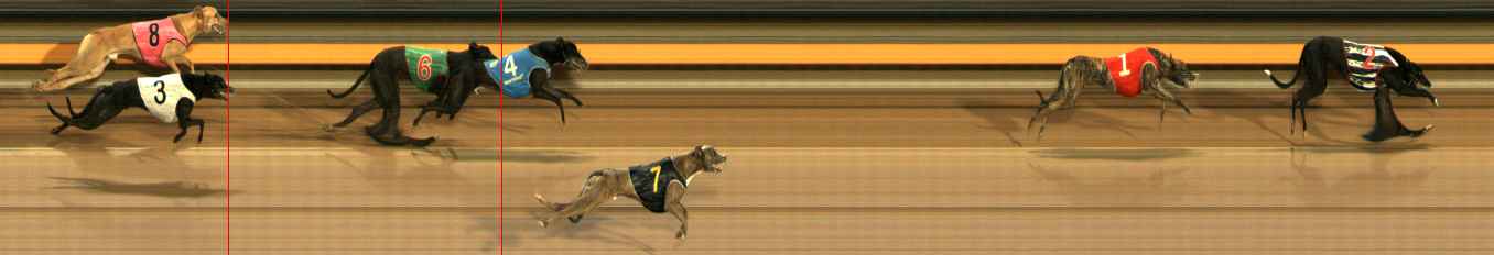 Photo finish for Ballarat Race 13