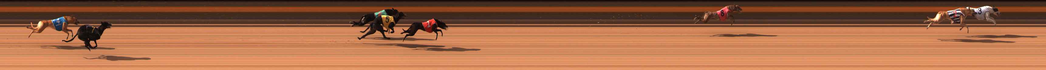 Photo finish for Ballarat Race 2