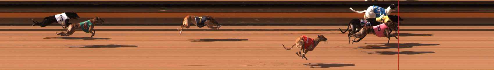 Photo finish for Ballarat Race 3