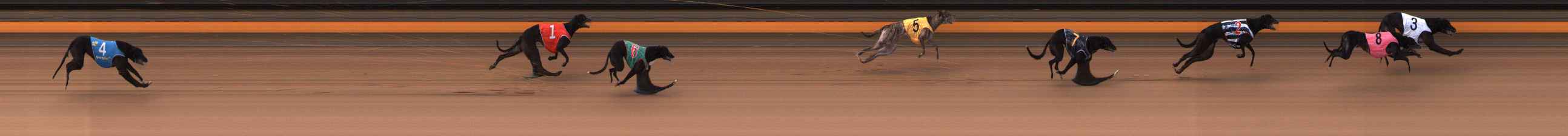 Photo finish for Ballarat Race 4