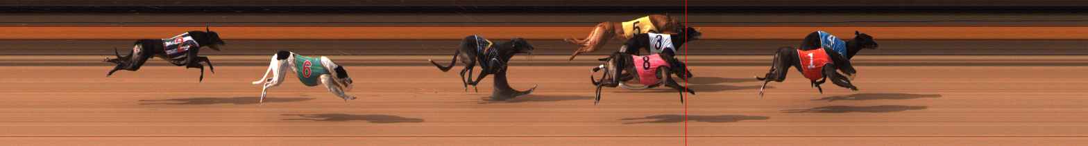 Photo finish for Ballarat Race 5