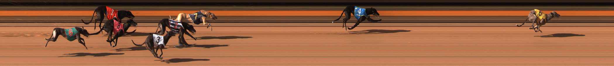 Photo finish for Ballarat Race 6