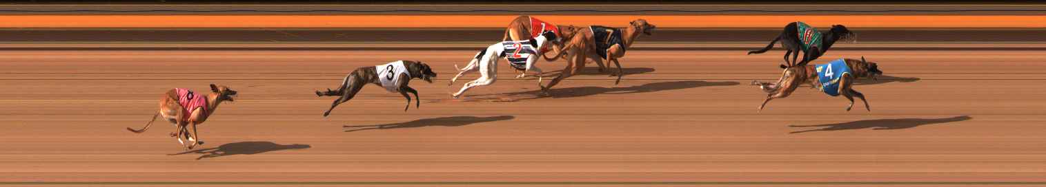 Photo finish for Ballarat Race 8