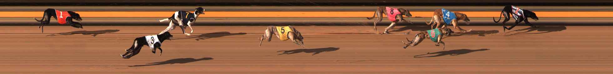Photo finish for Ballarat Race 10