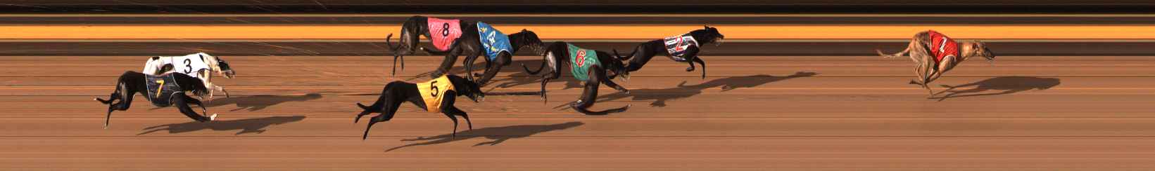 Photo finish for Ballarat Race 11