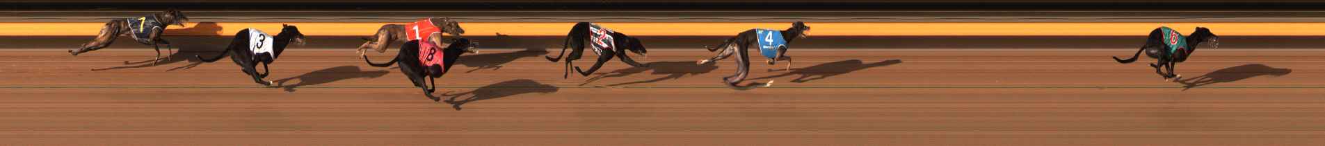 Photo finish for Ballarat Race 12