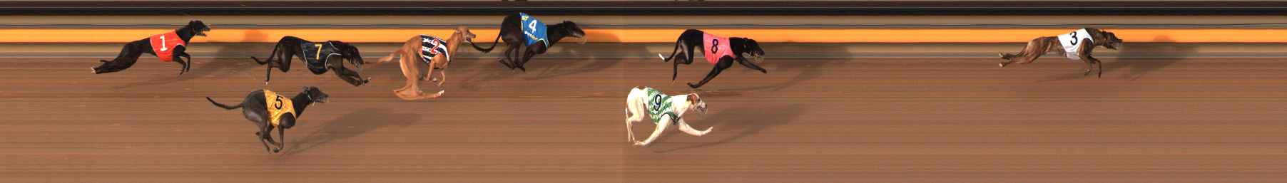 Photo finish for Ballarat Race 14