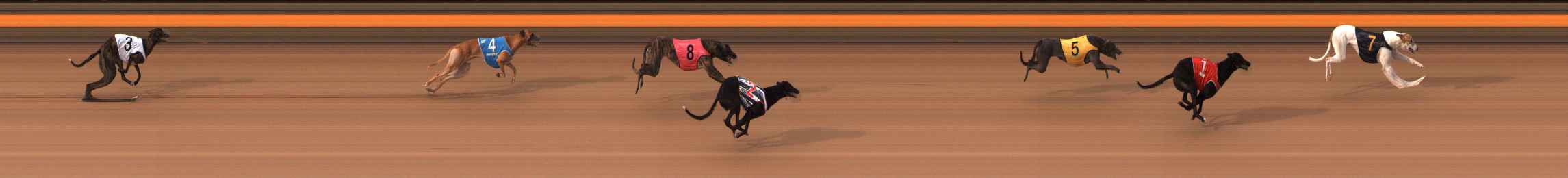 Photo finish for Ballarat Race 1
